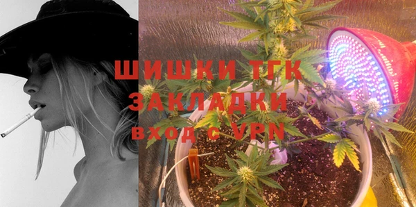спиды Гусь-Хрустальный