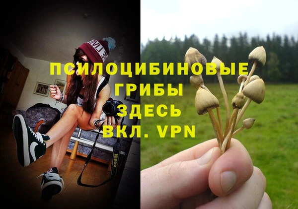 экстази Гусев