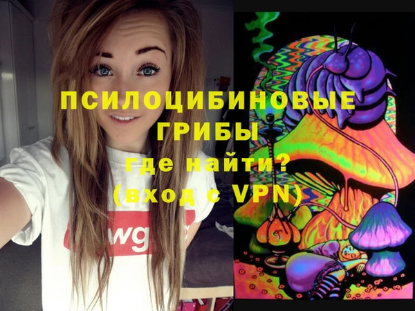 экстази Гусев