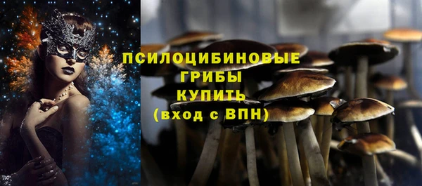 экстази Гусев