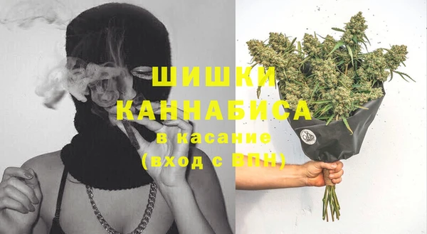 mix Гусиноозёрск
