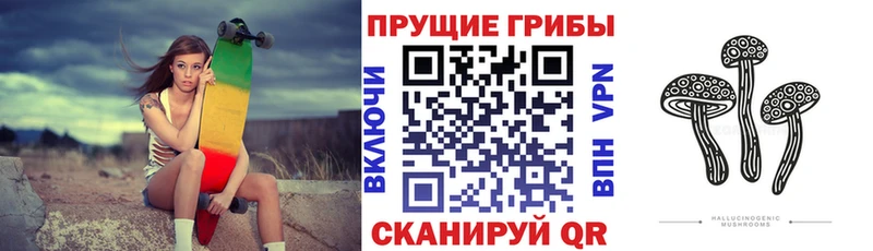 Купить закладки  Севск  Псилоцибиновые грибы GOLDEN TEACHER 
